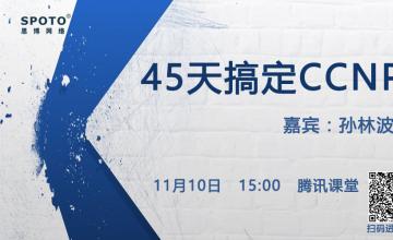 45天搞定CCNP