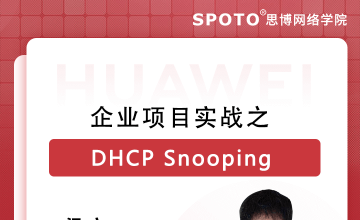 企业项目实战之-DHCP Snooping