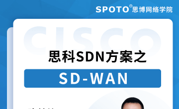 什么是SD-WAN