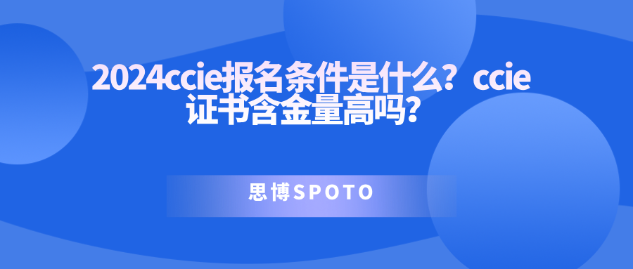 2024ccie报名条件是什么