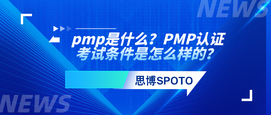 pmp是什么