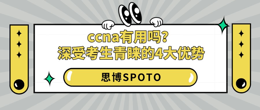 ccna有用吗